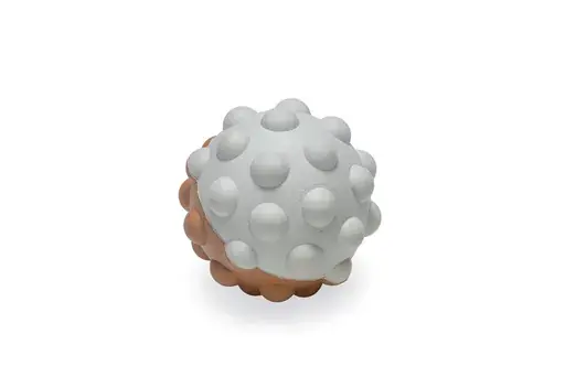 Beeztees Puppy Rubber Speelbal Denise 8 cm Nu Kopen